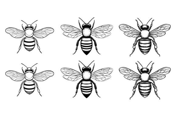 Bee Silhouette Simple Vector Illustration: A Practical Design Resource Evaluation