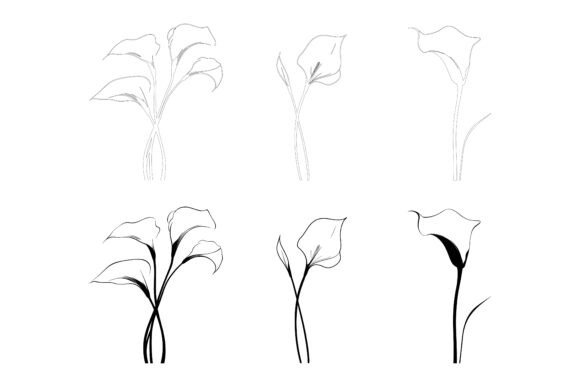 Calla Lily Icons Set: Versatile Vector Illustrations
