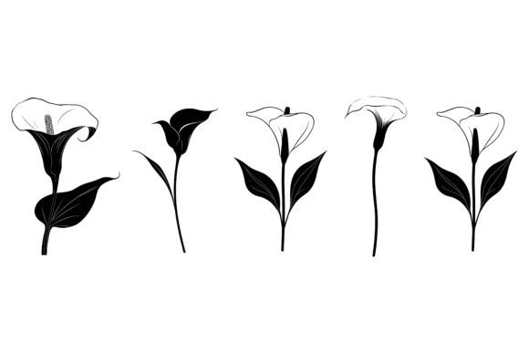 Calla Lily Silhouette Clipart Bundle
