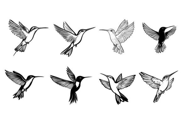 Elevating Your Designs with Hummingbird Silhouette Vector Art